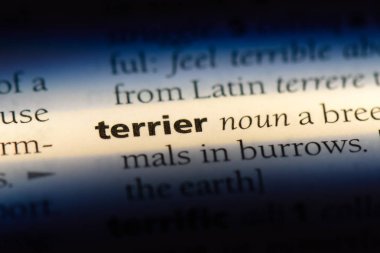 korkunç bir sözlük tek kelimeyle. korkunç kavramı.