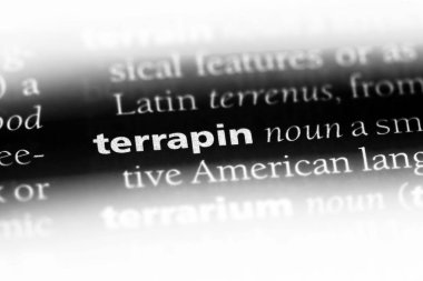 bir sözlüğü'ndeki Terrapin sözcüğü. Terrapin kavramı.