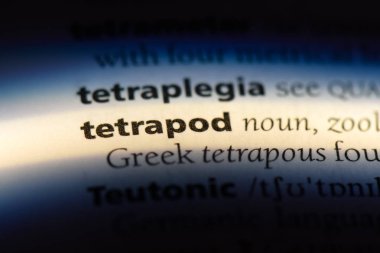 bir sözlüğü'ndeki tetrapod sözcüğü. Tetrapod kavramı.