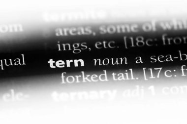 Sumru Word'de bir sözlük. Sumru kavramı.