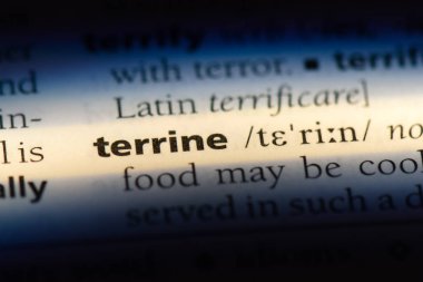 bir sözlüğü'ndeki terrine sözcüğü. terin kavramı.