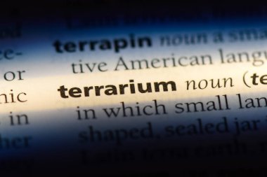 Terrarium Word'de bir sözlük. Terrarium kavramı.