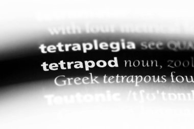 bir sözlüğü'ndeki tetrapod sözcüğü. Tetrapod kavramı.