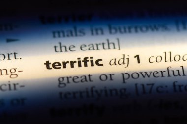 harika tek kelimeyle bir sözlük. Müthiş kavramı.