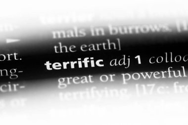 harika tek kelimeyle bir sözlük. Müthiş kavramı.