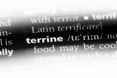bir sözlüğü'ndeki terrine sözcüğü. terin kavramı.