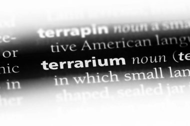 Terrarium Word'de bir sözlük. Terrarium kavramı.