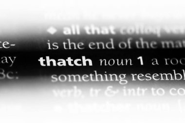 bir sözlüğü'ndeki sözcüğü thatch. Thatch kavramı.