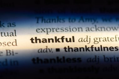 bir sözlüğü'ndeki müteşekkir sözcüğü. müteşekkir kavramı.