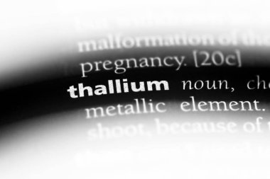 Talyum Word'de bir sözlük. Talyum kavramı.