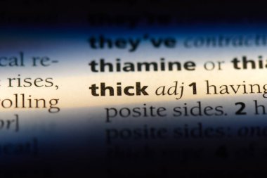 kalın tek kelimeyle bir sözlük. kalın kavramı.