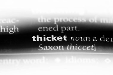 çalılık Word'de bir sözlük. çalılık kavramı.