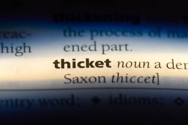 çalılık Word'de bir sözlük. çalılık kavramı.