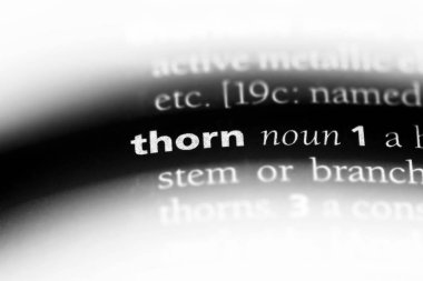 Thorn Word'de bir sözlük. Thorn kavramı.