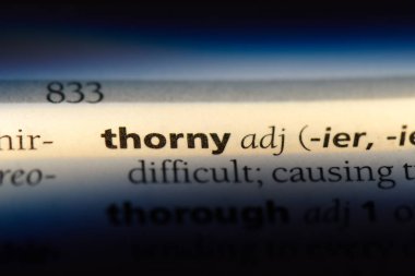 Dikenli tek kelimeyle bir sözlük. Dikenli kavramı.