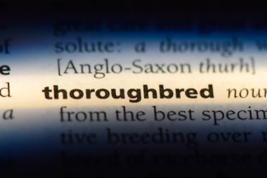 safkan tek kelimeyle bir sözlük. safkan kavramı.