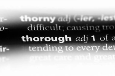 tam sözcük sözlüğe. ayrıntılı kavramı.