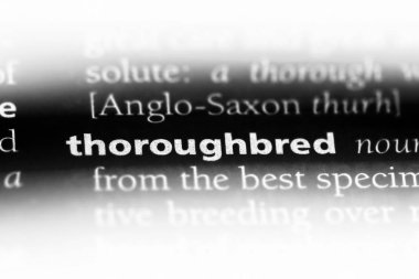 safkan tek kelimeyle bir sözlük. safkan kavramı.