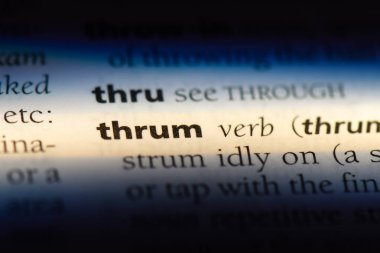 bir sözlüğü'ndeki sözcüğü thrum. saçak kavramı.