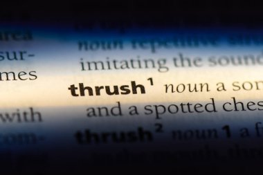 ardıç kuşu Word'de bir sözlük. ardıç kuşu kavramı.