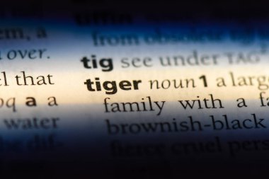 bir sözlüğü'ndeki kaplan sözcüğü. kaplan kavramı.