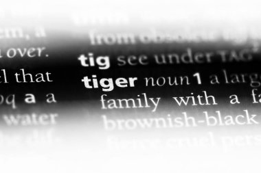 bir sözlüğü'ndeki kaplan sözcüğü. kaplan kavramı.