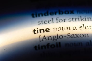 Sözlükte güzel bir kelime. konsept.