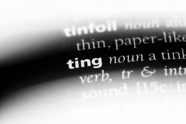 Ting Word'de bir sözlük. Ting kavramı.