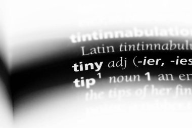 bir sözlüğü'ndeki küçük sözcüğü. küçük kavramı.