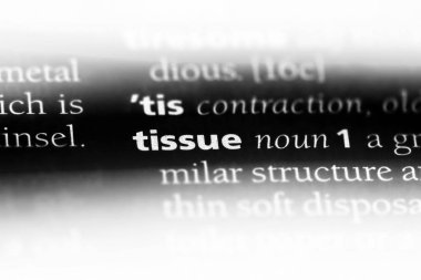 doku Word'de bir sözlük. doku kavramı.