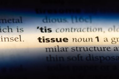 doku Word'de bir sözlük. doku kavramı.