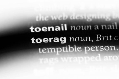 toerag sözcük sözlüğe. toerag kavramı.