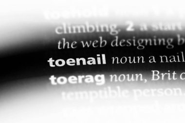 bir sözlüğü'ndeki sözcüğü tırnak. ayak tirnagi kavramı.