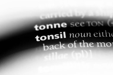 bademcik Word'de bir sözlük. bademcik kavramı.