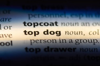 en iyi köpek Word'de bir sözlük. en iyi köpek kavramı.