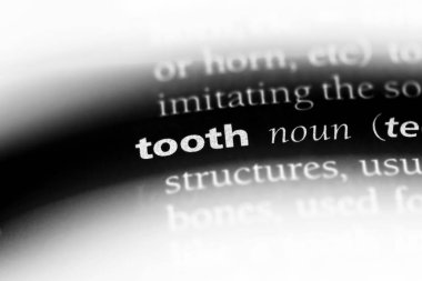 sözcük sözlüğe diş. Diş kavramı.