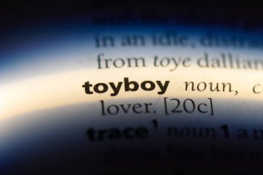 toyboy sözcük sözlüğe. toyboy kavramı.