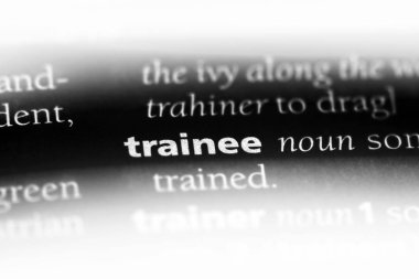 Stajyer sözcük sözlüğe. Stajyer kavramı.