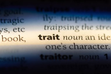 özellik Word'de bir sözlük. Özellik kavramı.