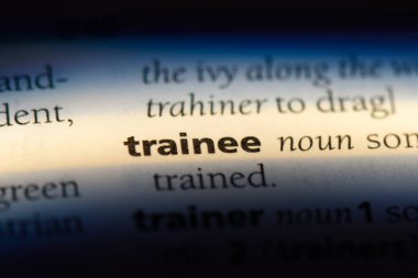 Stajyer sözcük sözlüğe. Stajyer kavramı.