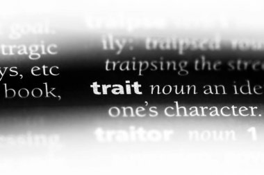 özellik Word'de bir sözlük. Özellik kavramı.