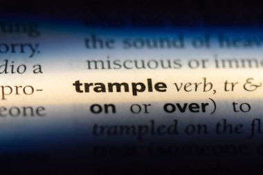 bir sözlüğü'ndeki sözcüğü ezin. kavram ezmek.