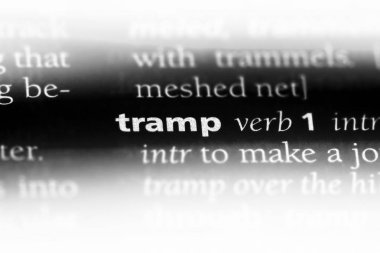 sözcük sözlükte serseri. sürtük kavramı.