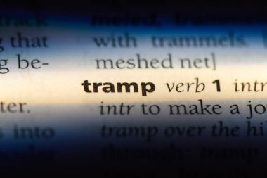 sözcük sözlükte serseri. sürtük kavramı.