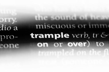 bir sözlüğü'ndeki sözcüğü ezin. kavram ezmek.