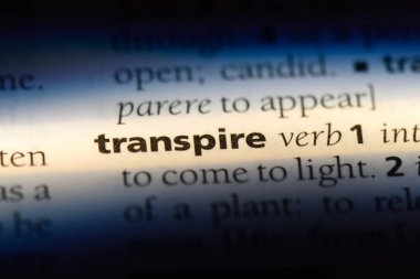 bir sözlüğü'ndeki sözcüğü sızmak. kavram sızmak.