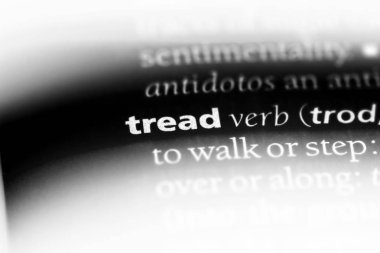 sözcük sözlükte basmak. kavram basmak.