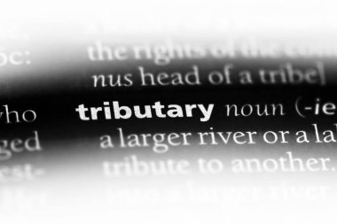 bir sözlük kolu tek kelimeyle. vergisel kavramı.