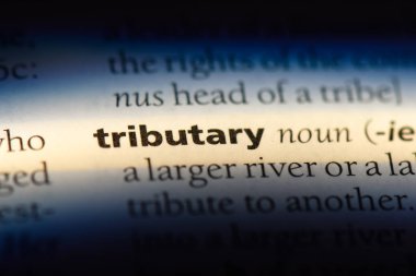 bir sözlük kolu tek kelimeyle. vergisel kavramı.