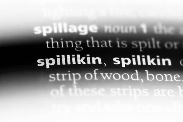 Spillikin Słowo Słowniku Koncepcja Spillikin — Zdjęcie stockowe